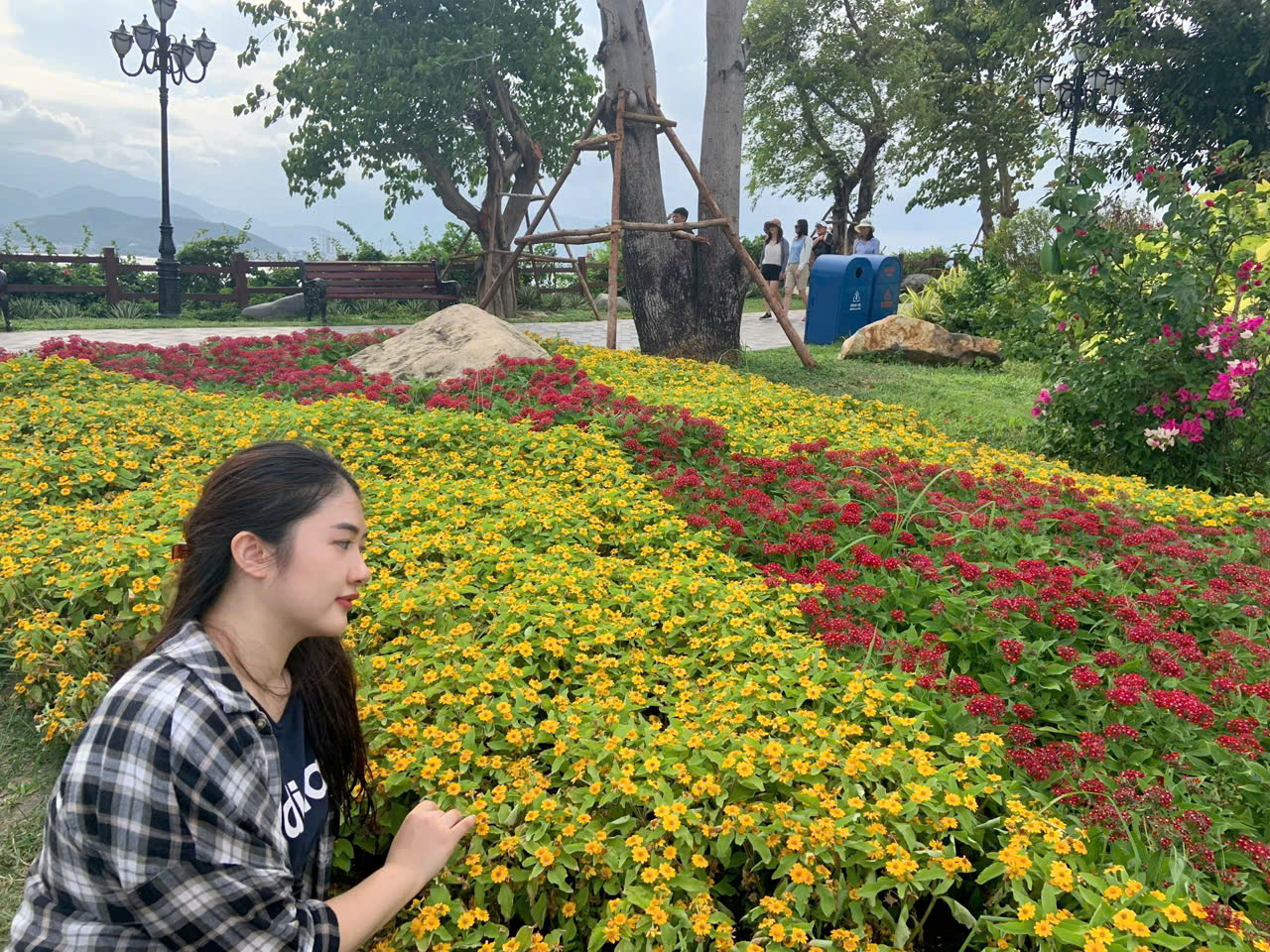 Cân bằng nội tiết tố